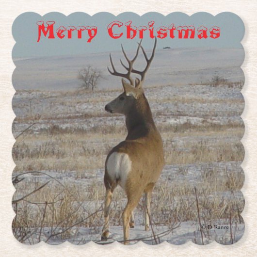 D 20 Mule Deer Buck in Snow Coaster Kartonnen Onderzetters (Voorkant)