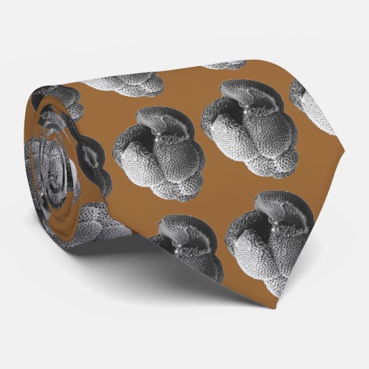 D. altispira Stropdas (Opgerold)