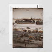 D-Day-landingen toegewezen Afbeeldingen Briefkaart (Voorkant / Achterkant)