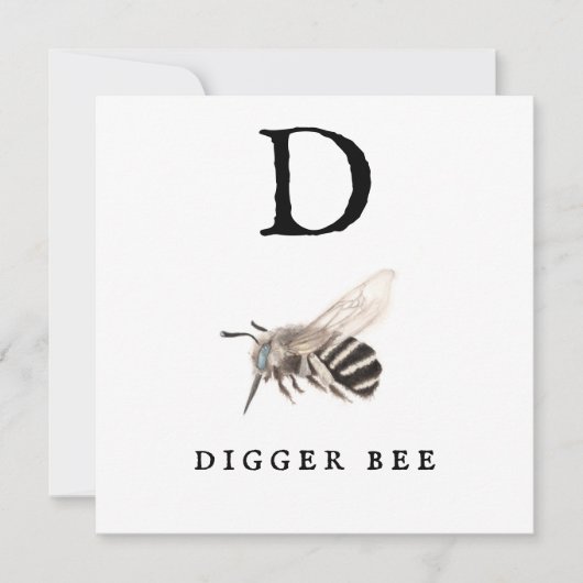 "D" Digger Bee (Voorkant)