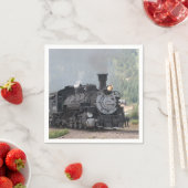 D en S 486 verlaten Silverton Servet (Insitu)