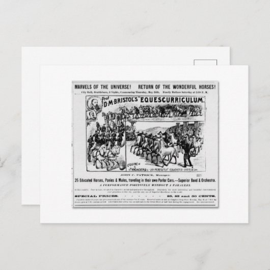 D. M. Bristol's Equescurriculum Ad Briefkaart (Voorkant / Achterkant)