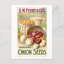 D. M. Ferry & Co.  uienzaad Adverteren