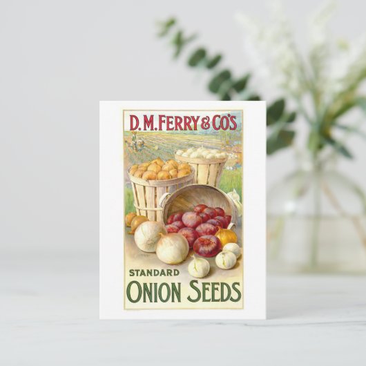 D. M. Ferry & Co.  uienzaad Adverteren Briefkaart (Staand voorkant)