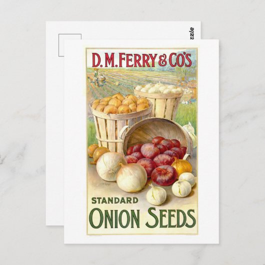 D. M. Ferry & Co.  uienzaad Adverteren Briefkaart (Voorkant / Achterkant)