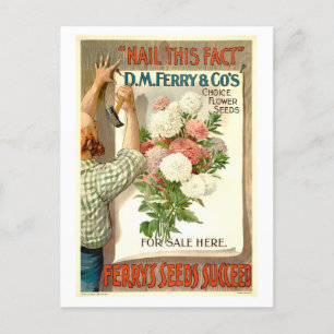D.M. Ferry Flower Seed Advertentie Briefkaart