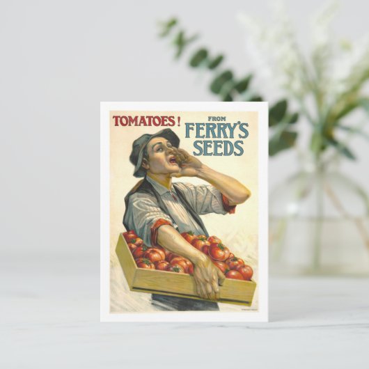 D.M. Ferry Tomato Seed Advertentie Briefkaart (Staand voorkant)