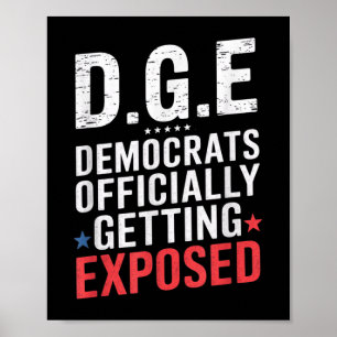 D.o.g.e Doge Government Satire Amerikaanse vlag Poster