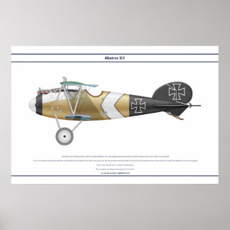 D.V. Jasta 12 Poster