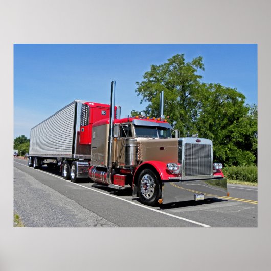 D Zimmerman's 379 Poster (Voorkant)