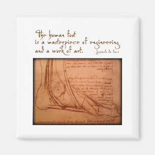 da Vinci: "De menselijke voet is..." Magneet