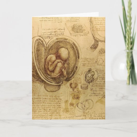 da Vinci - de Schets van het Embryo Kaart (Voorkant)
