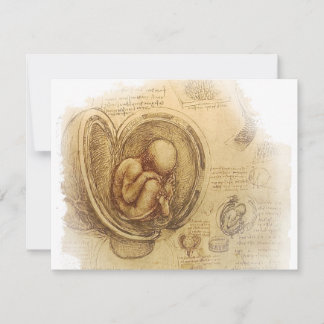 da Vinci - Embryo Sketch