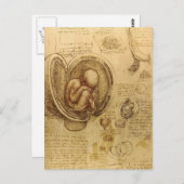 da Vinci - Embryo Sketch Briefkaart (Voorkant / Achterkant)
