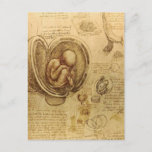 da Vinci - Embryo Sketch Briefkaart