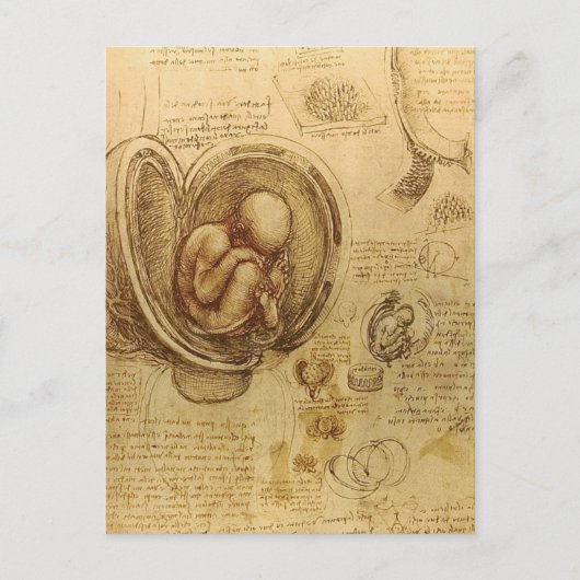 da Vinci - Embryo Sketch Briefkaart (Voorkant)
