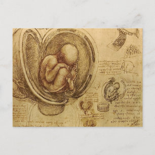 da Vinci - Embryo Sketch Briefkaart