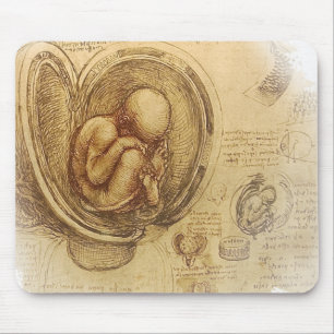 da Vinci - Embryo Sketch Muismat