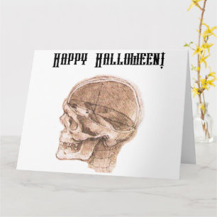 Da Vinci Halloween Wetenschap Anatomie Schedel Pri Kaart