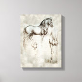 Da Vinci Horse Canvas Afdruk (Voorkant)