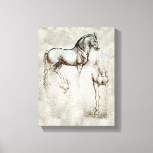 Da Vinci Horse Canvas Afdruk (Voorkant)
