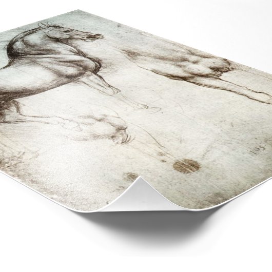 Da Vinci Horse Foto Afdruk (Hoek)