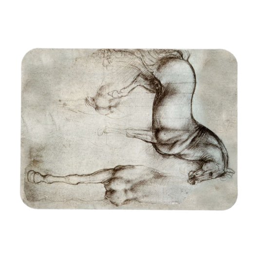 Da Vinci Horse Magnet (Horizontal)