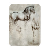 Da Vinci Horse Magnet (Vertical)
