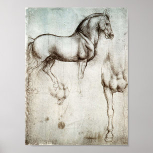 Da Vinci Horse Poster
