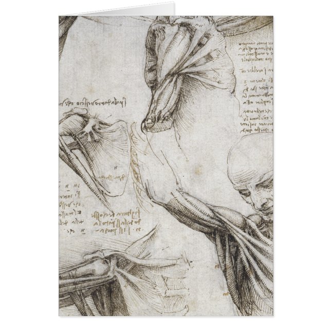 Da Vinci, Leonardo - Studie naar de anatomie (Voorkant)