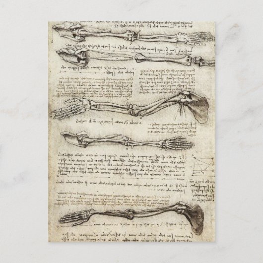 Da Vinci, Leonardo - Studie naar de anatomie Briefkaart (Voorkant)