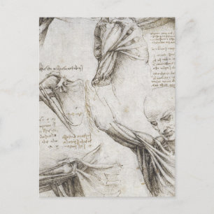 Da Vinci, Leonardo - Studie naar de anatomie Briefkaart