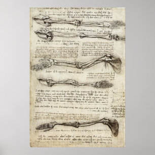 Da Vinci, Leonardo - Studie naar de anatomie Poster
