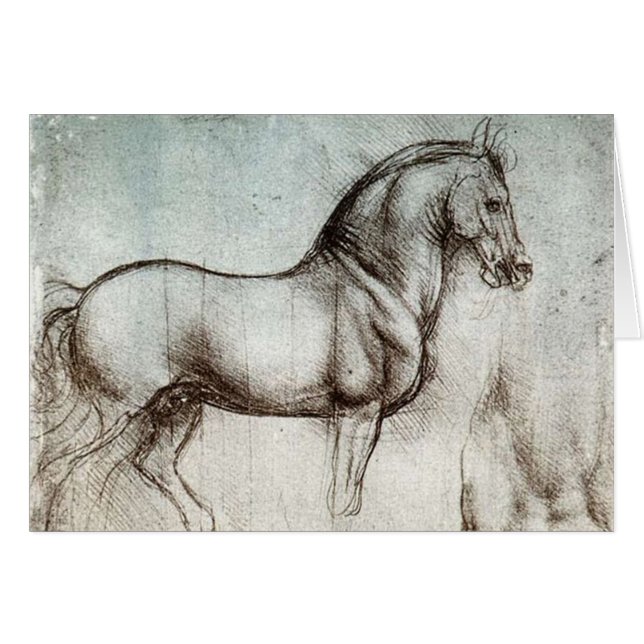 Da Vinci Paard Studie Renaissance Schets Schets Sc (Voorkant Horizontaal)