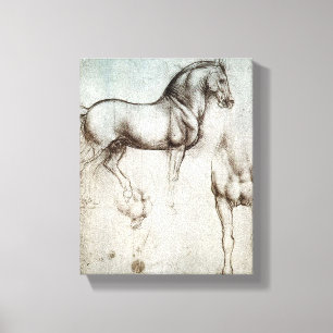 Da Vinci Paard Studie Renaissance Schets Schets Sc Canvas Afdruk