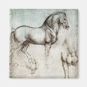 Da Vinci Paard Studie Renaissance Schets Schets Sc Magneet (Voorkant)