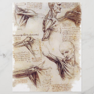 da Vinci - Shoulder Sketch Flyer
