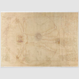 Da Vinci Vitruvian Man Decoupage Paper Tissuepapier