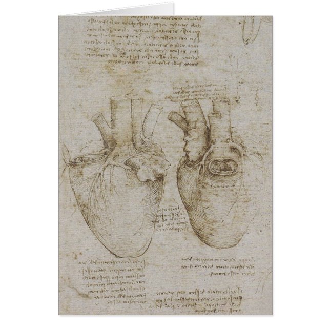 Da Vinci's anatomieketches voor het menselijk hart (Voorkant)