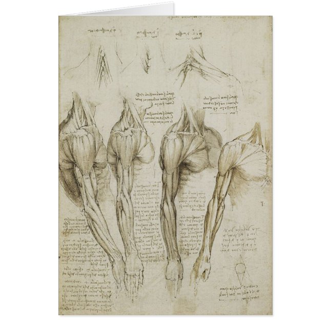 Da Vinci's Human Skeleton Anatomy Sketches (Voorkant)