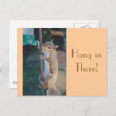 Daar hangen, Briefkaart Squirrel (Voorkant / Achterkant)