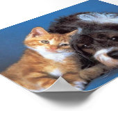 daar voor jou poster (Hoek)