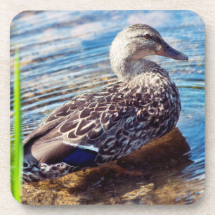 Dabbling Ripples Bier Onderzetter