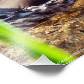 Dabbling Ripples Foto Afdruk (Hoek)