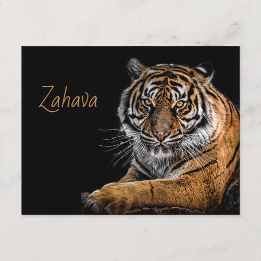 D'accompagnement Carte Boîtier Golden Tiger (Devant)