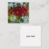 D'accompagnement carte de boîtier feuille rouge (Devant / Derrière)