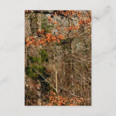 D'accompagnement Carte de réception 3,5x7 Couple de cerfs Biche Buc (Dos)