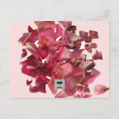 D'accompagnement Carte de réception de mariage romantique Petal ros (Dos)