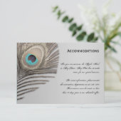 D'accompagnement Carte Peacock Silver Elegance (Debout devant)