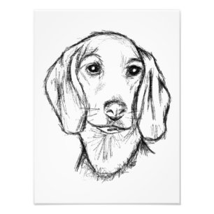 Dachshond handgetekende schets zwart wit puppy hon foto afdruk